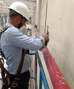 Quienes somos fumigaciones bajamex